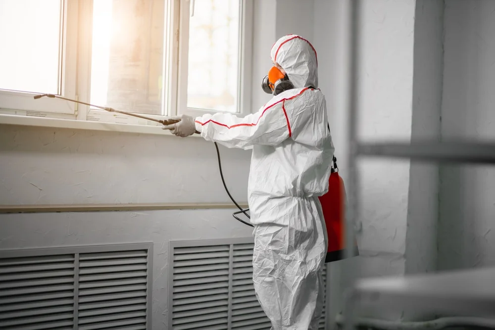 Professional mold remediation services in Charlestown, NH